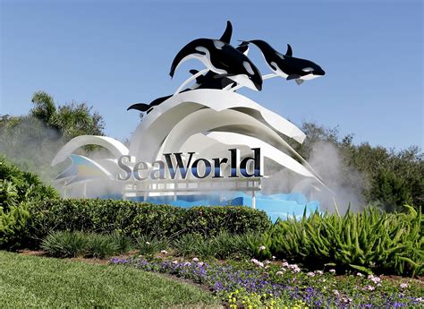 herman vs seaworld check fake|Herman v. Seaworld Parks & Entm't, Inc. .